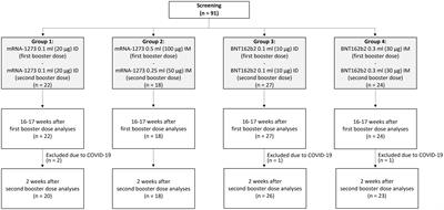 Immunogenicity and reactogenicity of repeated intradermal mRNA COVID-19 vaccines administered as a second booster dose in a Thai geriatric population